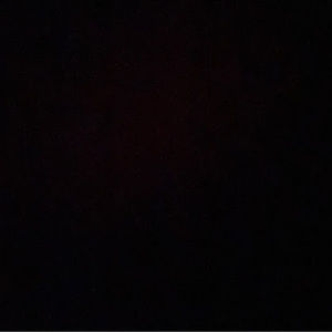 Meet your Posher, Allie